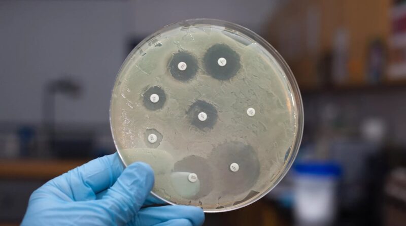 10 حقائق مثيرة للاهتمام حول البكتيريا